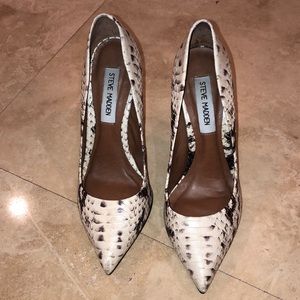 Snake print Steve Madden pumps